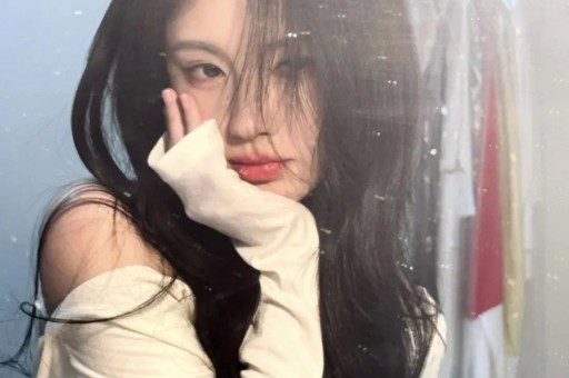 木府风云