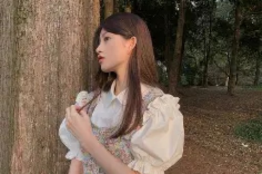 明星讨债导演跑路内部人士独家爆料